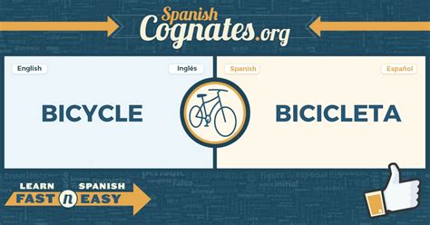 Bike In Spanish Translation